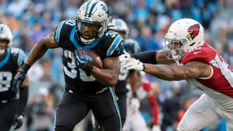 carolina panthers vs arizona cardinals match player stats
